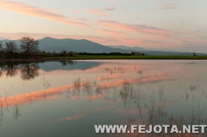 Nombre del archivo=110317_048.jpg
Tamaño del archivo=137Kb
Dimensiones=500x332
Fecha añadida=22 de Marzo de 12 110317_048.jpg