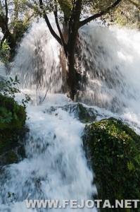 Nombre del archivo=110318_068.jpg
Tamaño del archivo=147Kb
Dimensiones=332x500
Fecha añadida=22 de Marzo de 12 110318_068.jpg