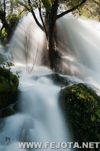 Nombre del archivo=110318_069.jpg
Tamaño del archivo=113Kb
Dimensiones=332x500
Fecha añadida=22 de Marzo de 12 110318_069.jpg