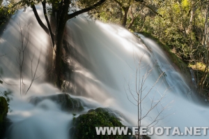 Nombre del archivo=110318_075.jpg
Tamaño del archivo=128Kb
Dimensiones=500x332
Fecha añadida=22 de Marzo de 12 110318_075.jpg