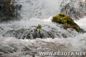 Nombre del archivo=110325_006.jpg
Tamaño del archivo=144Kb
Dimensiones=500x332
Fecha añadida=21 de Marzo de 12 110325_006.jpg