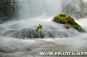 Nombre del archivo=110325_007.jpg
Tamaño del archivo=95Kb
Dimensiones=500x332
Fecha añadida=21 de Marzo de 12 110325_007.jpg