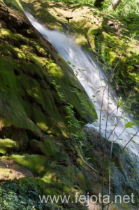 Nombre del archivo=110411_008.jpg
Tamaño del archivo=291Kb
Dimensiones=332x500
Fecha añadida=02 de Septiembre de 13 110411_008.jpg