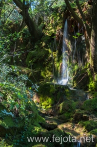 Nombre del archivo=110411_020.jpg
Tamaño del archivo=184Kb
Dimensiones=332x500
Fecha añadida=02 de Septiembre de 13 110411_020.jpg