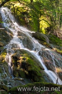 Nombre del archivo=110411_029.jpg
Tamaño del archivo=370Kb
Dimensiones=332x500
Fecha añadida=02 de Septiembre de 13 110411_029.jpg