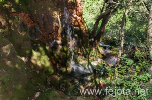 Nombre del archivo=110411_046.jpg
Tamaño del archivo=351Kb
Dimensiones=500x332
Fecha añadida=02 de Septiembre de 13 110411_046.jpg