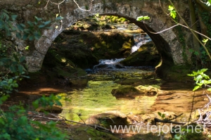 Nombre del archivo=110411_058.jpg
Tamaño del archivo=202Kb
Dimensiones=500x332
Fecha añadida=02 de Septiembre de 13 110411_058.jpg