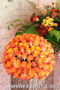 Nombre del archivo=110506_054.jpg
Tamaño del archivo=213Kb
Dimensiones=332x500
Fecha añadida=21 de Marzo de 12 110506_054.jpg