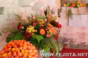 Nombre del archivo=110506_056.jpg
Tamaño del archivo=187Kb
Dimensiones=500x332
Fecha añadida=21 de Marzo de 12 110506_056.jpg