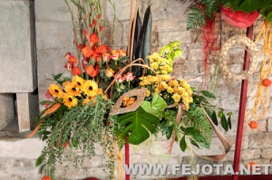 Nombre del archivo=110506_091.jpg
Tamaño del archivo=195Kb
Dimensiones=500x332
Fecha añadida=21 de Marzo de 12 110506_091.jpg