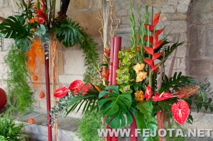 Nombre del archivo=110506_126.jpg
Tamaño del archivo=201Kb
Dimensiones=500x332
Fecha añadida=21 de Marzo de 12 110506_126.jpg