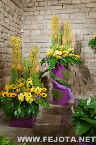 Nombre del archivo=110508_013.jpg
Tamaño del archivo=233Kb
Dimensiones=332x500
Fecha añadida=20 de Marzo de 12 110508_013.jpg