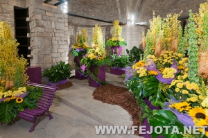 Nombre del archivo=110509_003.jpg
Tamaño del archivo=290Kb
Dimensiones=500x332
Fecha añadida=20 de Marzo de 12 110509_003.jpg