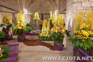 Nombre del archivo=110509_006.jpg
Tamaño del archivo=272Kb
Dimensiones=500x332
Fecha añadida=20 de Marzo de 12 110509_006.jpg