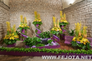 Nombre del archivo=110509_013.jpg
Tamaño del archivo=220Kb
Dimensiones=500x332
Fecha añadida=20 de Marzo de 12 110509_013.jpg