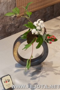 Nombre del archivo=110510_022.jpg
Tamaño del archivo=180Kb
Dimensiones=333x500
Fecha añadida=20 de Marzo de 12 110510_022.jpg