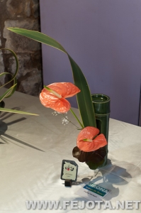 Nombre del archivo=110510_026.jpg
Tamaño del archivo=130Kb
Dimensiones=332x500
Fecha añadida=20 de Marzo de 12 110510_026.jpg