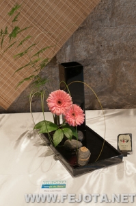 Nombre del archivo=110510_029.jpg
Tamaño del archivo=174Kb
Dimensiones=332x500
Fecha añadida=20 de Marzo de 12 110510_029.jpg