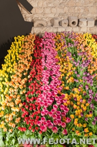 Nombre del archivo=110511_025.jpg
Tamaño del archivo=393Kb
Dimensiones=332x500
Fecha añadida=20 de Marzo de 12 110511_025.jpg