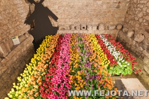 Nombre del archivo=110511_026.jpg
Tamaño del archivo=290Kb
Dimensiones=500x332
Fecha añadida=20 de Marzo de 12 110511_026.jpg