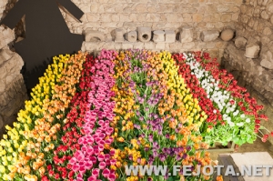 Nombre del archivo=110511_028.jpg
Tamaño del archivo=337Kb
Dimensiones=500x332
Fecha añadida=20 de Marzo de 12 110511_028.jpg