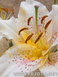 Nombre del archivo=110512_025.jpg
Tamaño del archivo=139Kb
Dimensiones=375x500
Fecha añadida=20 de Marzo de 12 110512_025.jpg