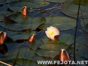 Nombre del archivo=110514_009.jpg
Tamaño del archivo=116Kb
Dimensiones=500x375
Fecha añadida=10 de Marzo de 12 110514_009.jpg