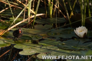 Nombre del archivo=110514_025.jpg
Tamaño del archivo=155Kb
Dimensiones=500x333
Fecha añadida=10 de Marzo de 12 110514_025.jpg