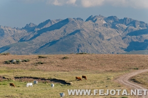 Nombre del archivo=110704_302.jpg
Tamaño del archivo=139Kb
Dimensiones=500x332
Fecha añadida=08 de Marzo de 12 110704_302.jpg