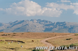 Nombre del archivo=110704_308.jpg
Tamaño del archivo=179Kb
Dimensiones=500x332
Fecha añadida=08 de Marzo de 12 110704_308.jpg