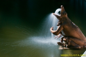 Nombre del archivo=110706_120.jpg
Tamaño del archivo=135Kb
Dimensiones=500x332
Fecha añadida=09 de Enero de 12 110706_120.jpg