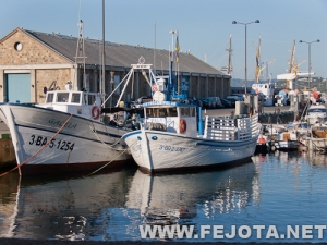 Nombre del archivo=110909_010.jpg
Tamaño del archivo=208Kb
Dimensiones=500x375
Fecha añadida=07 de Marzo de 12 110909_010.jpg