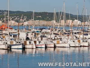 Nombre del archivo=110909_011.jpg
Tamaño del archivo=234Kb
Dimensiones=500x375
Fecha añadida=07 de Marzo de 12 110909_011.jpg