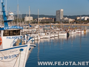 Nombre del archivo=110909_016.jpg
Tamaño del archivo=199Kb
Dimensiones=500x375
Fecha añadida=07 de Marzo de 12 110909_016.jpg