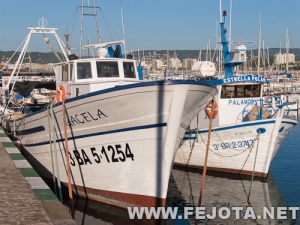 Nombre del archivo=110909_018.jpg
Tamaño del archivo=262Kb
Dimensiones=500x375
Fecha añadida=07 de Marzo de 12 110909_018.jpg