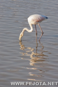 Nombre del archivo=111017_012.jpg
Tamaño del archivo=108Kb
Dimensiones=333x500
Fecha añadida=05 de Marzo de 12 111017_012.jpg