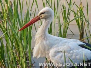 Nombre del archivo=111017_017.jpg
Tamaño del archivo=235Kb
Dimensiones=500x375
Fecha añadida=05 de Marzo de 12 111017_017.jpg