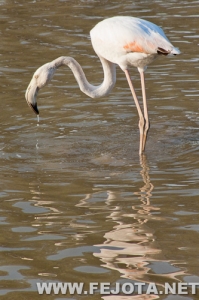 Nombre del archivo=111017_021.jpg
Tamaño del archivo=160Kb
Dimensiones=333x500
Fecha añadida=05 de Marzo de 12 111017_021.jpg