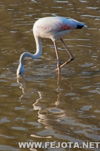 Nombre del archivo=111017_026.jpg
Tamaño del archivo=148Kb
Dimensiones=333x500
Fecha añadida=05 de Marzo de 12 111017_026.jpg