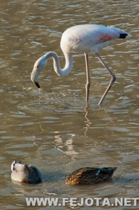 Nombre del archivo=111017_030.jpg
Tamaño del archivo=168Kb
Dimensiones=333x500
Fecha añadida=05 de Marzo de 12 111017_030.jpg