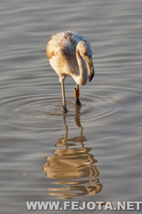 Nombre del archivo=111017_036.jpg
Tamaño del archivo=119Kb
Dimensiones=333x500
Fecha añadida=05 de Marzo de 12 111017_036.jpg