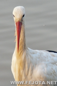 Nombre del archivo=111017_042.jpg
Tamaño del archivo=79Kb
Dimensiones=333x500
Fecha añadida=05 de Marzo de 12 111017_042.jpg