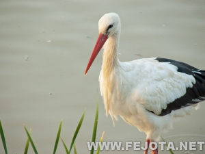 Nombre del archivo=111017_044.jpg
Tamaño del archivo=74Kb
Dimensiones=500x375
Fecha añadida=05 de Marzo de 12 111017_044.jpg