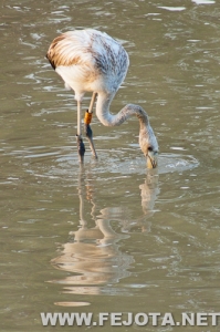 Nombre del archivo=111017_055.jpg
Tamaño del archivo=144Kb
Dimensiones=333x500
Fecha añadida=05 de Marzo de 12 111017_055.jpg