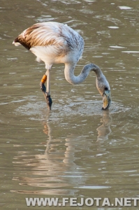 Nombre del archivo=111017_056.jpg
Tamaño del archivo=149Kb
Dimensiones=333x500
Fecha añadida=05 de Marzo de 12 111017_056.jpg