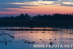 Nombre del archivo=111031_003.jpg
Tamaño del archivo=106Kb
Dimensiones=500x333
Fecha añadida=03 de Marzo de 12 111031_003.jpg