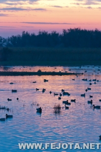 Nombre del archivo=111031_015.jpg
Tamaño del archivo=134Kb
Dimensiones=332x500
Fecha añadida=03 de Marzo de 12 111031_015.jpg