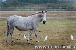 Nombre del archivo=111031_042.jpg
Tamaño del archivo=177Kb
Dimensiones=500x332
Fecha añadida=03 de Marzo de 12 111031_042.jpg
