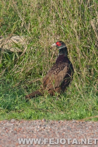 Nombre del archivo=111128_001.jpg
Tamaño del archivo=229Kb
Dimensiones=333x500
Fecha añadida=03 de Marzo de 12 111128_001.jpg