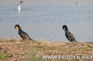 Nombre del archivo=111128_025.jpg
Tamaño del archivo=124Kb
Dimensiones=500x333
Fecha añadida=03 de Marzo de 12 111128_025.jpg